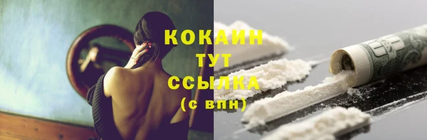 ПСИЛОЦИБИНОВЫЕ ГРИБЫ Корсаков