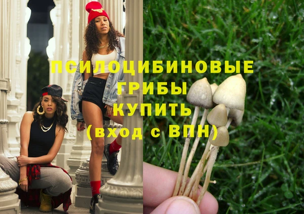 ПСИЛОЦИБИНОВЫЕ ГРИБЫ Корсаков